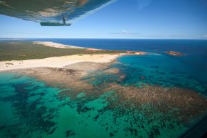 Scenic Flights