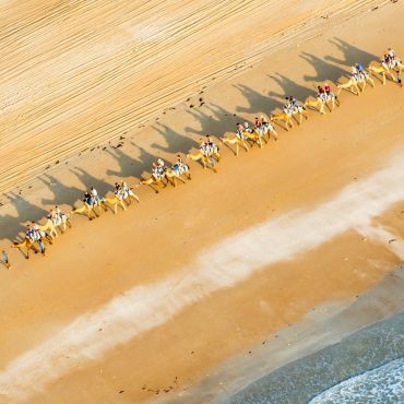 Broome Camel Safaris
