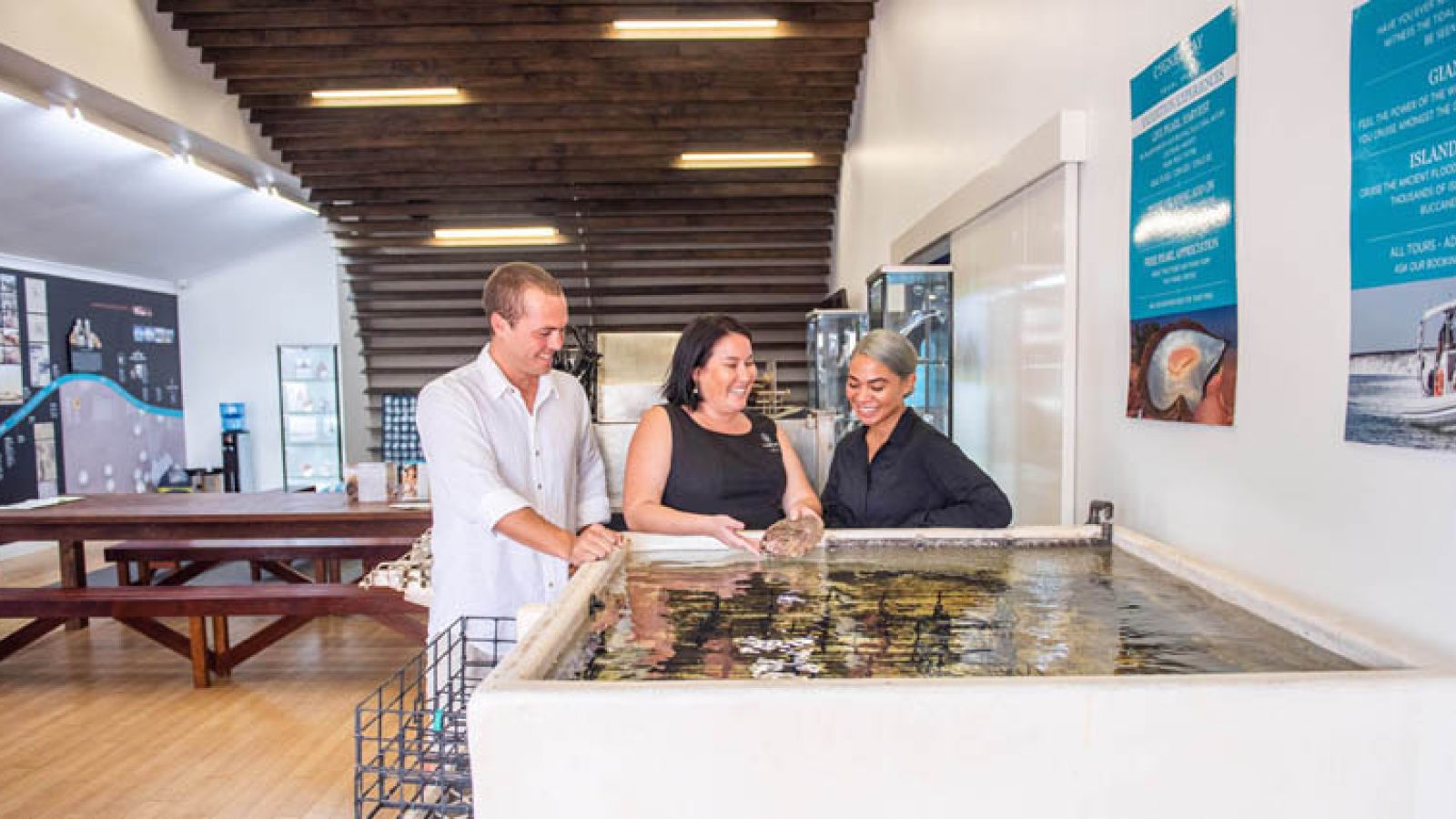 Images anw0346am2019