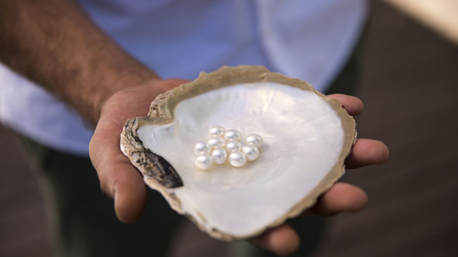 Images anw0419ys2019