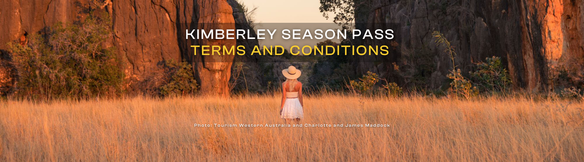 Terms and Conditions Header 1