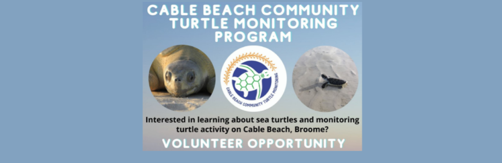 Cable Beach Community Turtle Monitoring Program