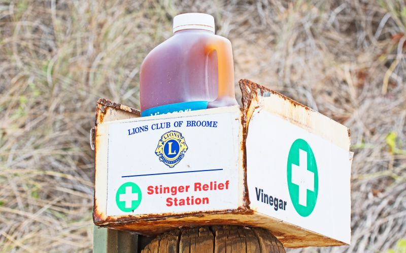 Stingers present: Keeping safe in Broome waters this wet season