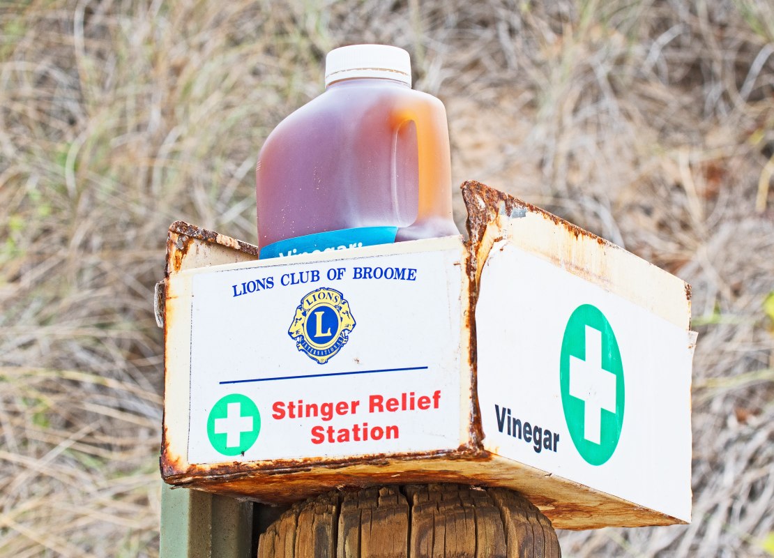 Stingers present: Keeping safe in Broome waters this wet season