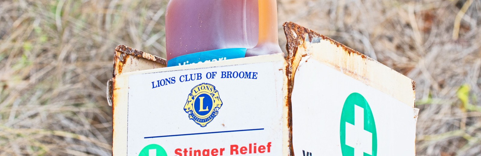 Stingers present: Keeping safe in Broome waters this wet season