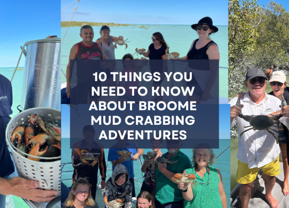 10 things you need to know about Broome Mud Crabbing Adventures