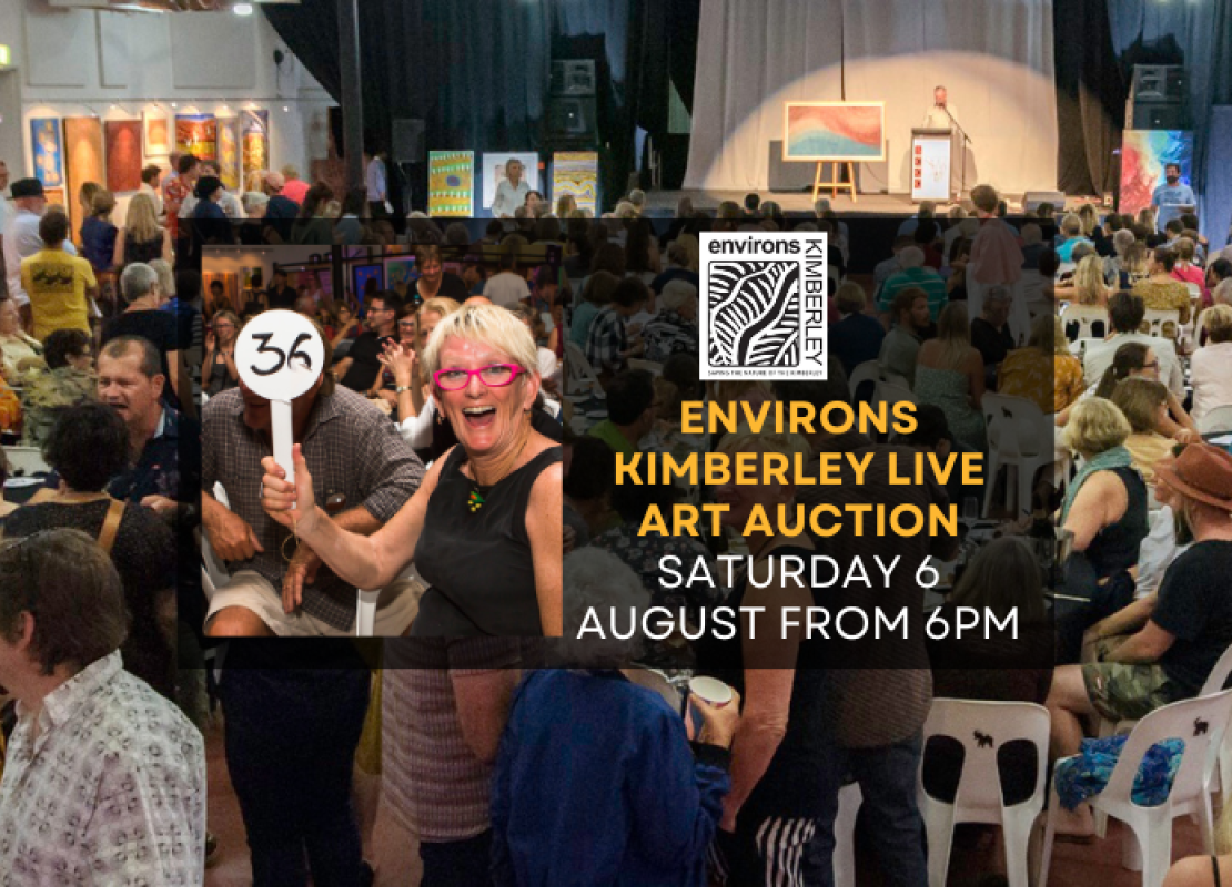 Environs Kimberley Live Art Auction - Online bidding from 5pm 4th Aug. Live Event Sat 6th Aug.