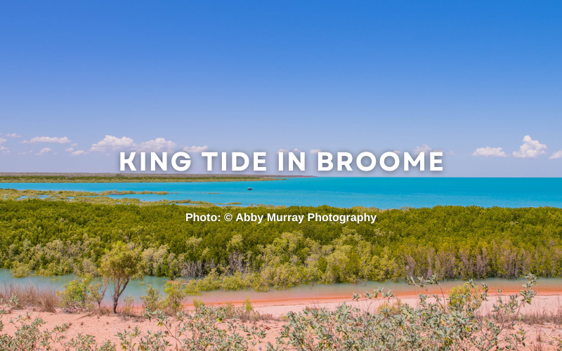 King Tide in Broome this Friday 24th March