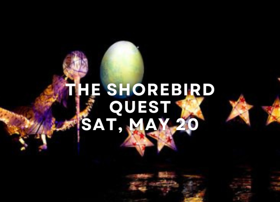 The Shorebird Quest - Sat May 20, FREE EVENT
