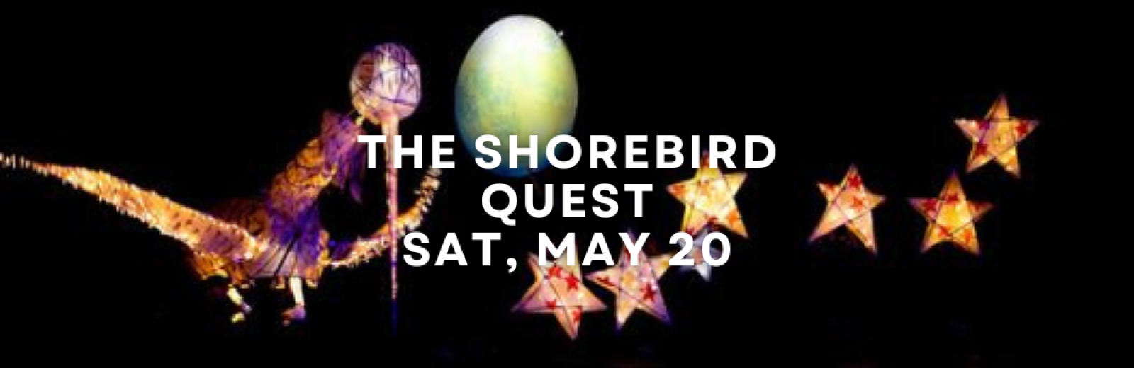 The Shorebird Quest - Sat May 20, FREE EVENT