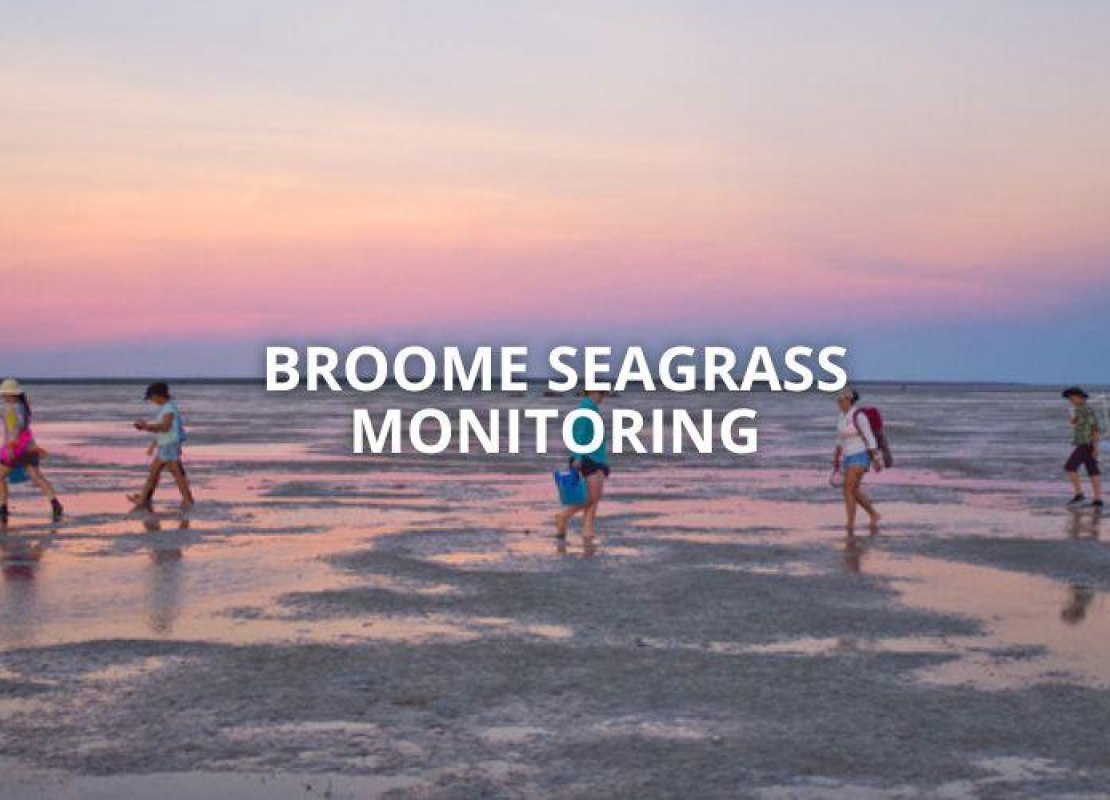 Broome Seagrass Monitoring - August 2023