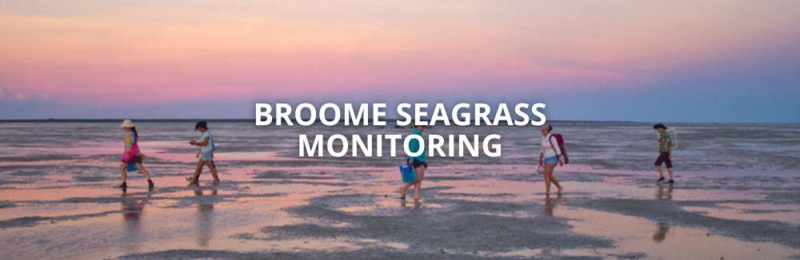 Broome Seagrass Monitoring - August 2023