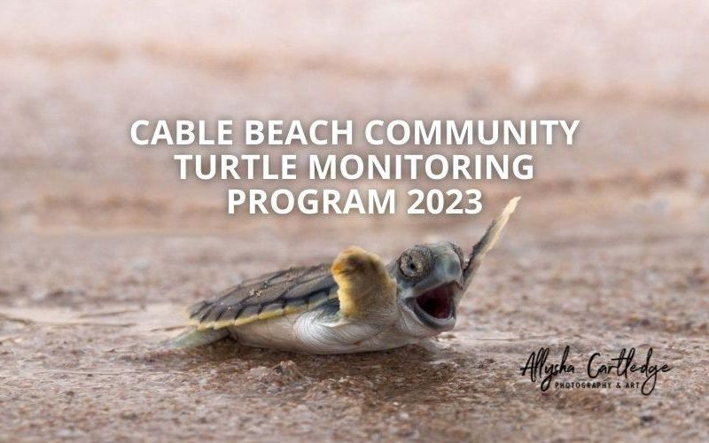 Cable Beach Community Turtle Monitoring Program