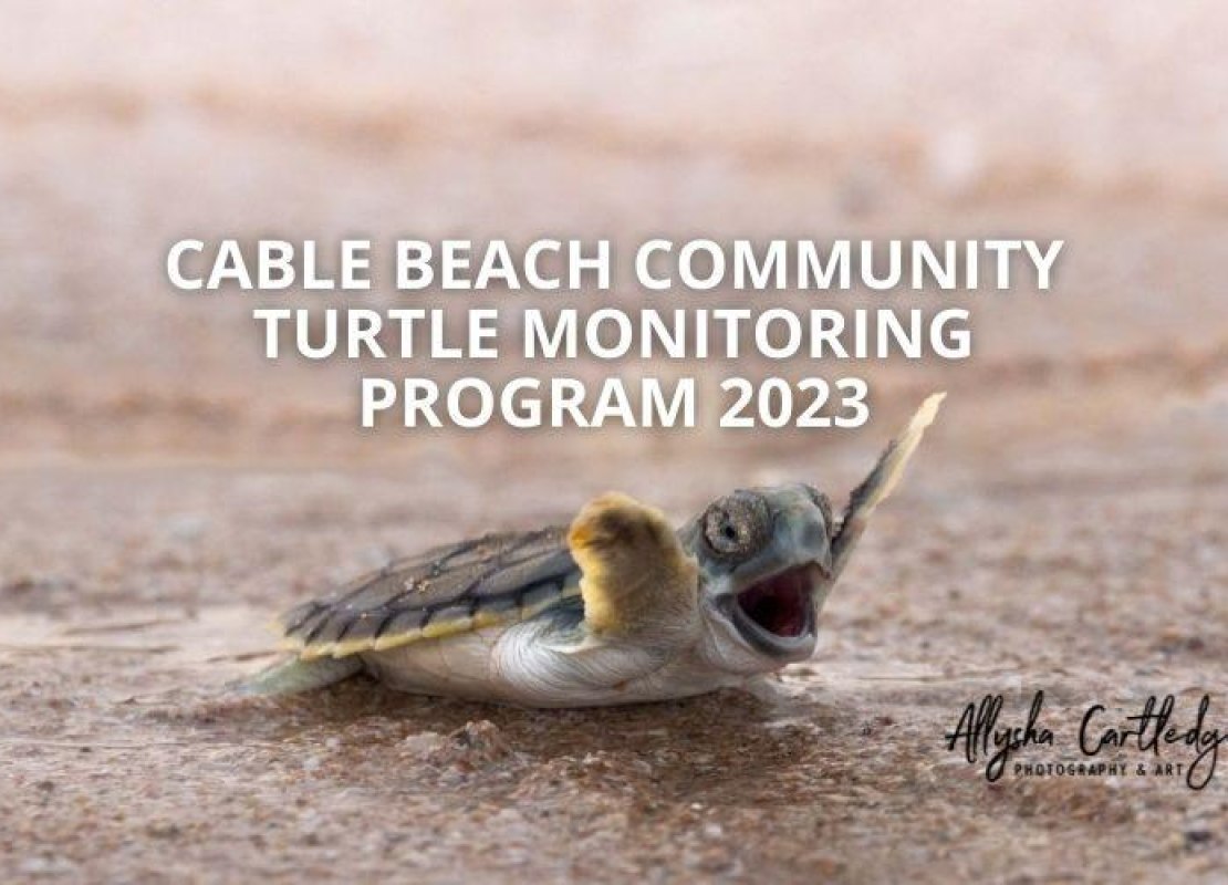 Cable Beach Community Turtle Monitoring Program