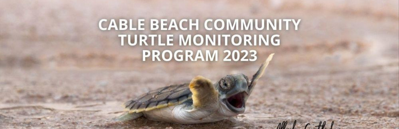 Cable Beach Community Turtle Monitoring Program