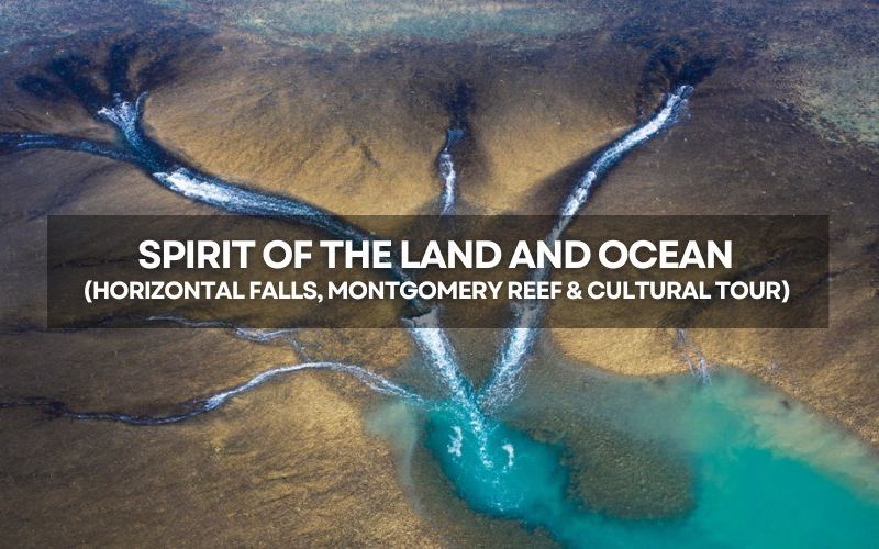 New Tour: Spirit of the Land and Ocean with Frontier Tours