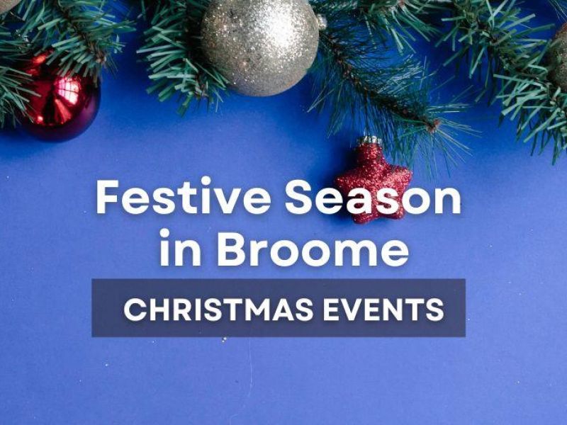 Turtle nesting season on Walmanyjun (Cable Beach), Broome