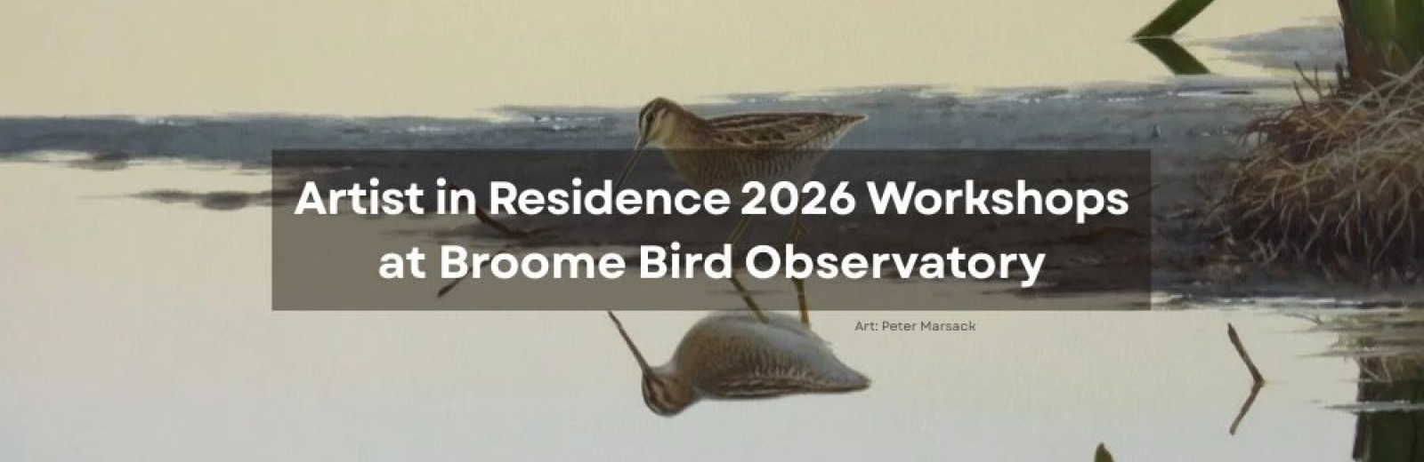 Artist in Residence 2026 Workshops at Broome Bird Observatory