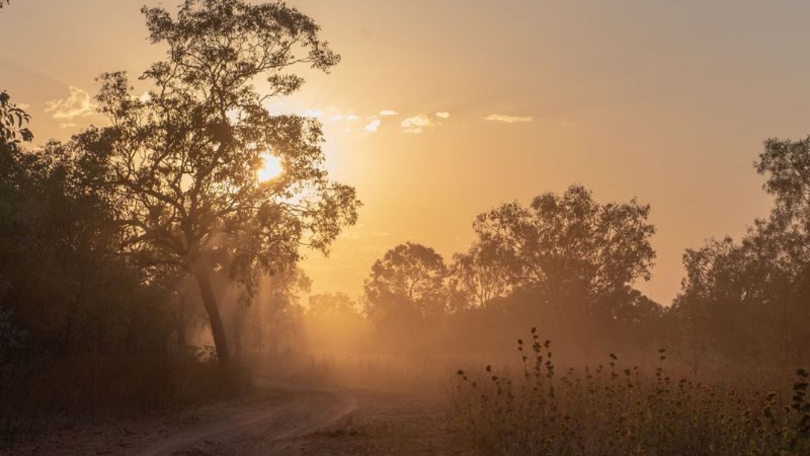 Birdwood Downs Station