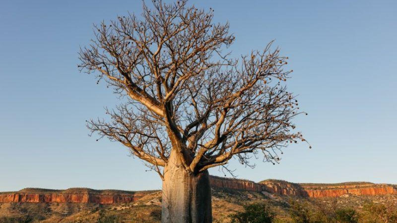 Cockburn Range Gibb River Road
