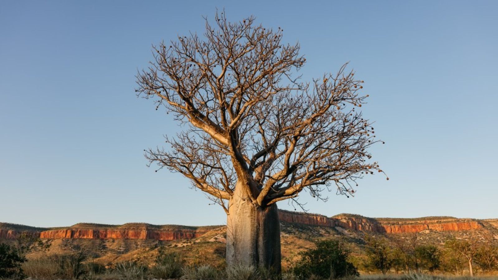 Cockburn Range Gibb River Road