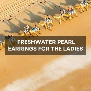 Broome Camel Safaris