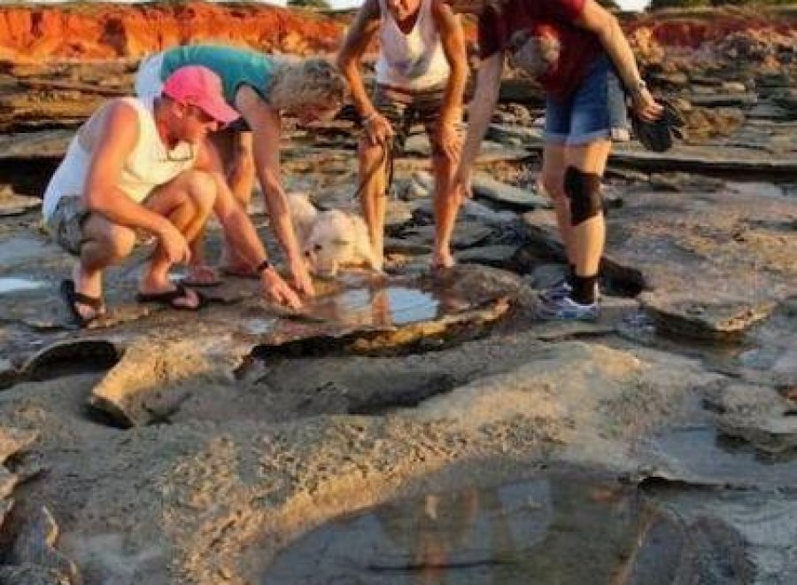 Broome Dinosaur Experience