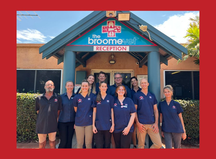 Broome Veterinary Hospital