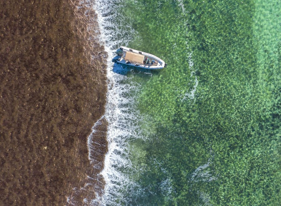 Cygnet Bay Pearl Farm