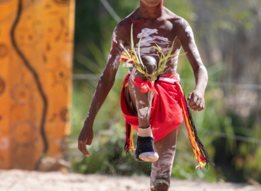 Gubungarri Adventures