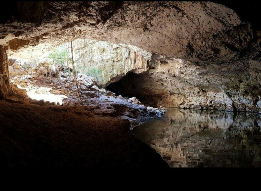 Nimowila Tours
