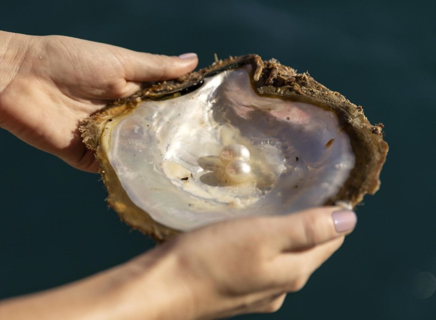 Paspaley Pearl Farm Tour