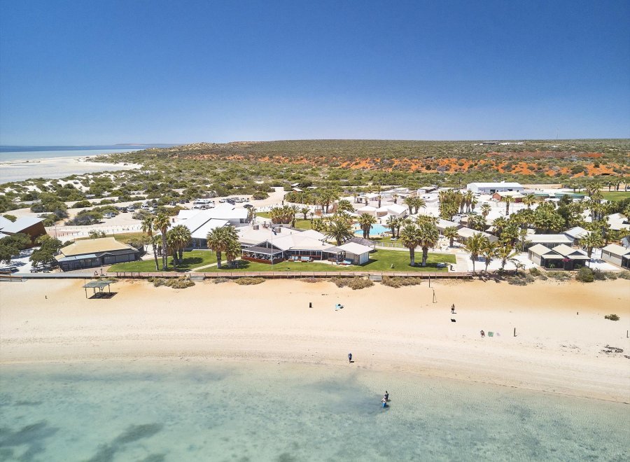 RAC Monkey Mia Dolphin Resort