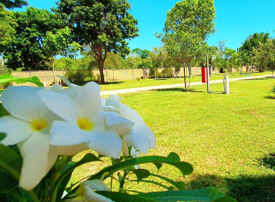 Tarangau Caravan Park