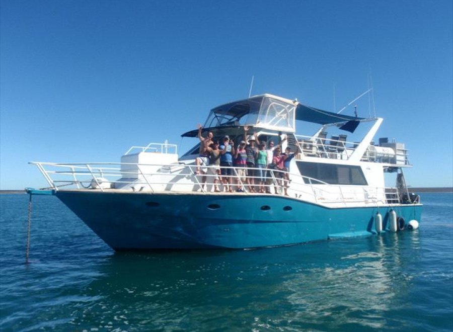 Unreel Adventure Safaris