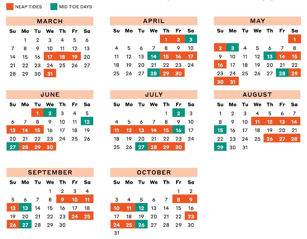 2027 Neap Tides and 'Mid Tide' dates