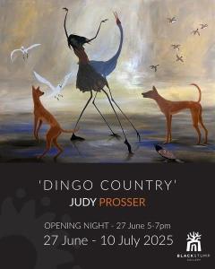 Judy Prosser Exhibition