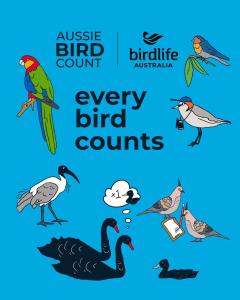 Aussie Bird Count at Streeter's Jetty