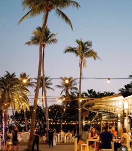 Live Music Fridays at The Mangrove