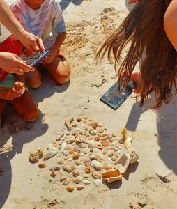 FREE Shell Tour