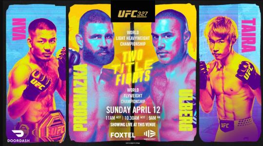 UFC 327 Procházka vs Ulberg