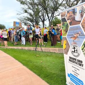 Sunsets and Shorebirds - Free Community Bird-watching at Town Beach