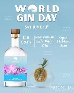 World Gin Day at Moontide Distillery