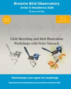 Artist in Residence Workshops at Broome Bird Observatory