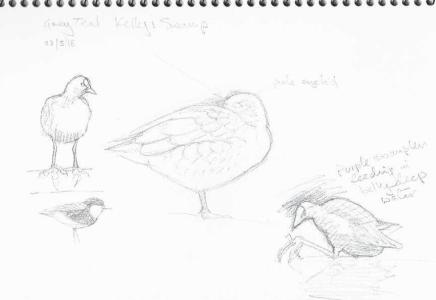 Artist in Residence Workshops at Broome Bird Observatory