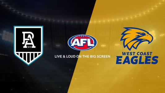 AFL at Spinifex Brewery