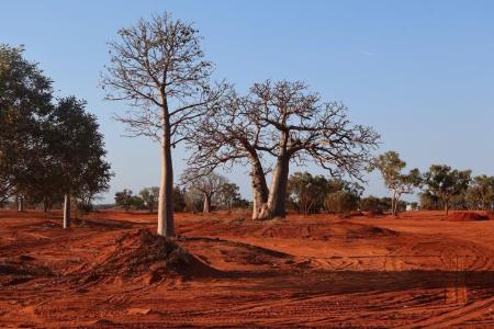BRAC Track & Trails Official Opening