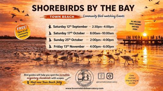 Shorebirds by the Bay