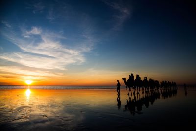 Broome Camel Sunset ALICE KING