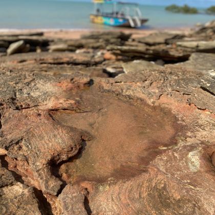 Broome dinsosaur adventures3